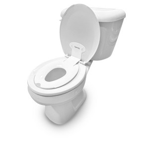 Ingenuity Flip and Sit Potty Seat - 1 of 4