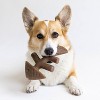 Benebone Fishbone Dog Chew Toy - Fish - M - 4 of 4