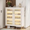 Tribesigns Shoe Cabinet with LED Light & Acrylic Doors, 5-Tier Shoe Organizer Storage Rack - 2 of 4