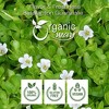 Organic Brahmi Leaf Powder 4 Oz - 3 of 4