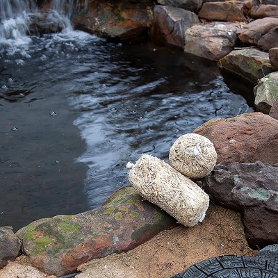 Beckett 1000 Gallon Barley Straw Bales Natural Filtration For Clean, Clear Water in Ponds, Water Gardens, 4 oz.