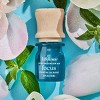 Essential Oil Blend - Crisp Mountain Air: Focus - Lifelines: Aromatherapy, Citronella, 0.25 Net Wt, Oil Diffuser Compatible - 4 of 4