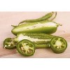 La Costena Green Pickled Sliced Jalapeno Peppers - 28oz - 3 of 3