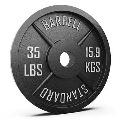 Synergee Standard Metal Weight Plates - 35lb Single